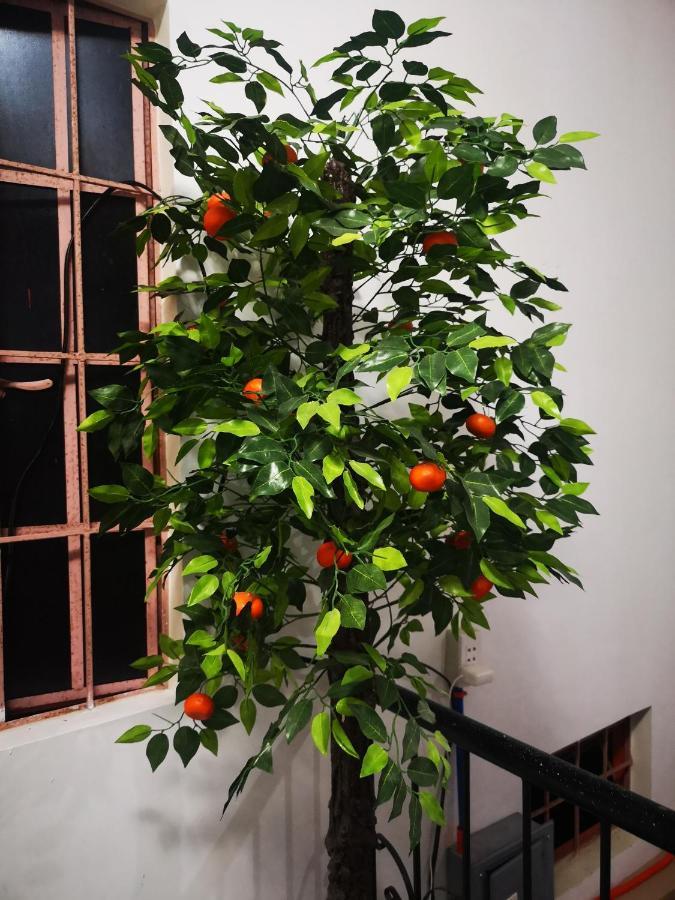 公主港Estrelle Orange House - Backpackers Hub公寓 外观 照片